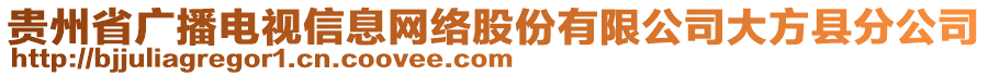 貴州省廣播電視信息網(wǎng)絡(luò)股份有限公司大方縣分公司