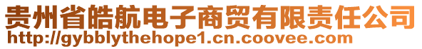 貴州省皓航電子商貿有限責任公司