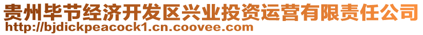 貴州畢節(jié)經(jīng)濟(jì)開發(fā)區(qū)興業(yè)投資運(yùn)營有限責(zé)任公司