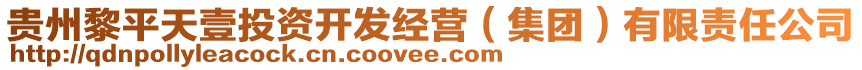 貴州黎平天壹投資開發(fā)經(jīng)營（集團）有限責(zé)任公司