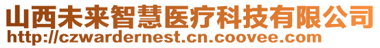 山西未來智慧醫(yī)療科技有限公司