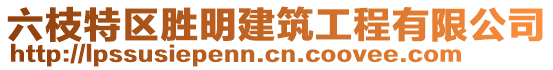 六枝特區(qū)勝明建筑工程有限公司