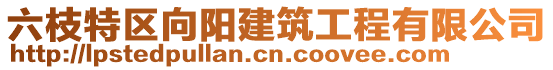 六枝特区向阳建筑工程有限公司