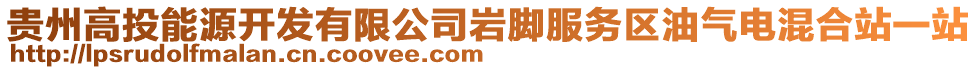 貴州高投能源開發(fā)有限公司巖腳服務(wù)區(qū)油氣電混合站一站