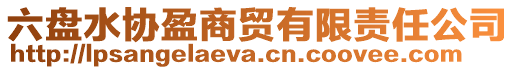 六盤(pán)水協(xié)盈商貿(mào)有限責(zé)任公司