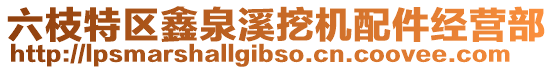 六枝特區(qū)鑫泉溪挖機(jī)配件經(jīng)營部