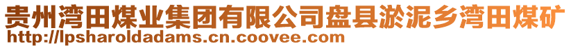 貴州灣田煤業(yè)集團有限公司盤縣淤泥鄉(xiāng)灣田煤礦