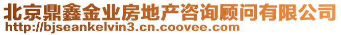 北京鼎鑫金業(yè)房地產(chǎn)咨詢顧問(wèn)有限公司