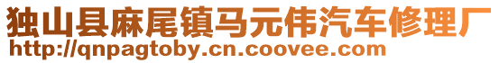 獨(dú)山縣麻尾鎮(zhèn)馬元偉汽車修理廠