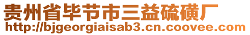 貴州省畢節(jié)市三益硫磺廠