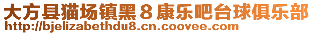 大方縣貓場鎮(zhèn)黑８康樂吧臺球俱樂部