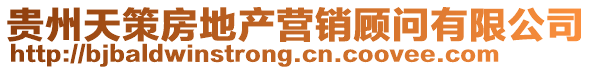 貴州天策房地產(chǎn)營(yíng)銷(xiāo)顧問(wèn)有限公司