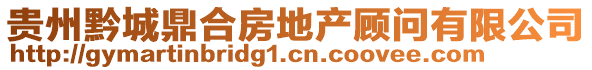 貴州黔城鼎合房地產(chǎn)顧問有限公司