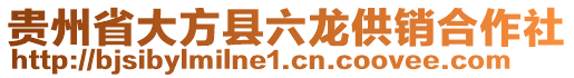 貴州省大方縣六龍供銷合作社