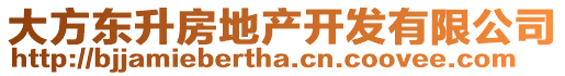 大方東升房地產(chǎn)開發(fā)有限公司