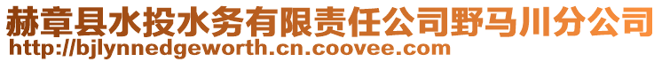 赫章縣水投水務(wù)有限責(zé)任公司野馬川分公司