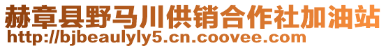 赫章縣野馬川供銷合作社加油站