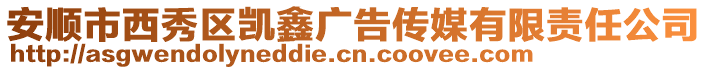 安順市西秀區(qū)凱鑫廣告?zhèn)髅接邢挢?zé)任公司