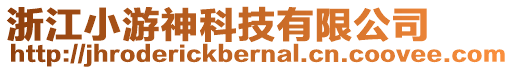 浙江小游神科技有限公司