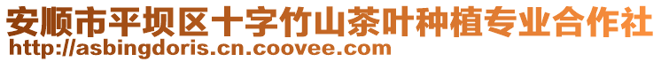 安順市平壩區(qū)十字竹山茶葉種植專業(yè)合作社