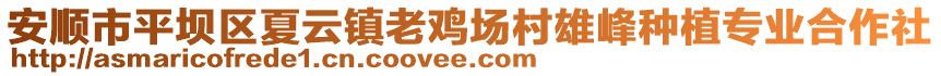 安順市平壩區(qū)夏云鎮(zhèn)老雞場村雄峰種植專業(yè)合作社