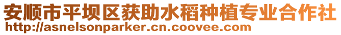 安順市平壩區(qū)獲助水稻種植專業(yè)合作社