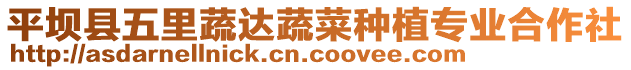 平壩縣五里蔬達(dá)蔬菜種植專業(yè)合作社