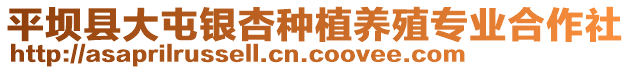 平壩縣大屯銀杏種植養(yǎng)殖專(zhuān)業(yè)合作社