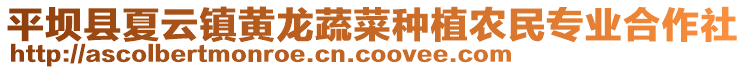 平壩縣夏云鎮(zhèn)黃龍蔬菜種植農(nóng)民專業(yè)合作社