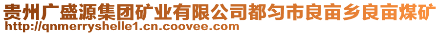 貴州廣盛源集團(tuán)礦業(yè)有限公司都勻市良畝鄉(xiāng)良畝煤礦