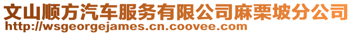 文山順?lè)狡嚪?wù)有限公司麻栗坡分公司