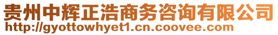 貴州中輝正浩商務咨詢有限公司