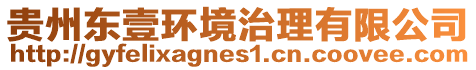 貴州東壹環(huán)境治理有限公司