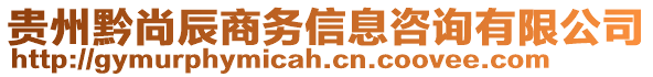 貴州黔尚辰商務(wù)信息咨詢有限公司