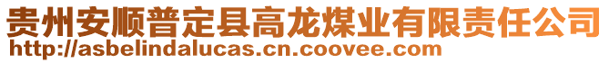 貴州安順普定縣高龍煤業(yè)有限責任公司