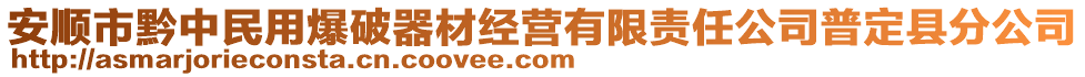 安順市黔中民用爆破器材經(jīng)營有限責(zé)任公司普定縣分公司