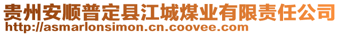 貴州安順普定縣江城煤業(yè)有限責(zé)任公司