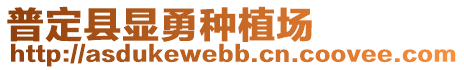 普定縣顯勇種植場