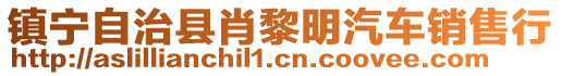 镇宁自治县肖黎明汽车销售行