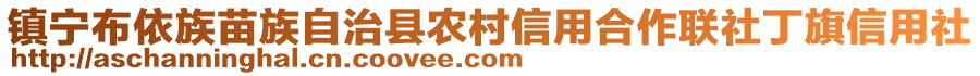 鎮(zhèn)寧布依族苗族自治縣農(nóng)村信用合作聯(lián)社丁旗信用社