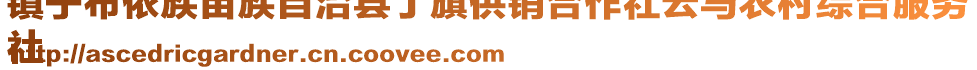 鎮(zhèn)寧布依族苗族自治縣丁旗供銷合作社云馬農村綜合服務
社