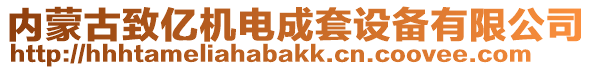 內蒙古致億機電成套設備有限公司