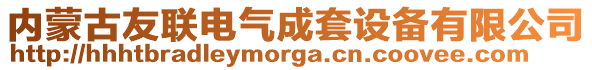 內(nèi)蒙古友聯(lián)電氣成套設(shè)備有限公司