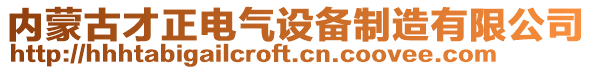 內蒙古才正電氣設備制造有限公司