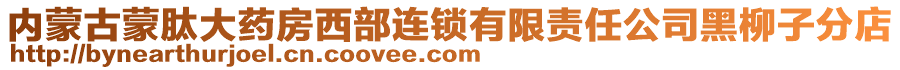 内蒙古蒙肽大药房西部连锁有限责任公司黑柳子分店