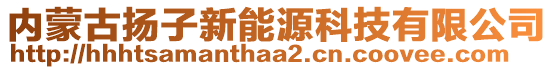 內(nèi)蒙古揚(yáng)子新能源科技有限公司