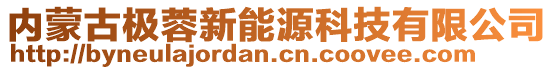 内蒙古极蓉新能源科技有限公司