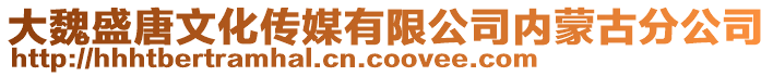 大魏盛唐文化傳媒有限公司內(nèi)蒙古分公司