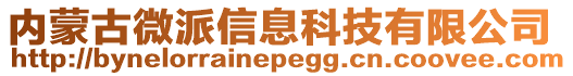 内蒙古微派信息科技有限公司