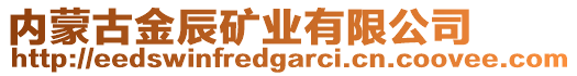 內(nèi)蒙古金辰礦業(yè)有限公司